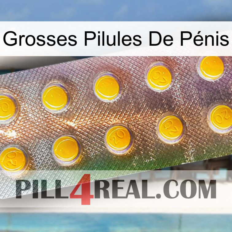 Grosses Pilules De Pénis new11